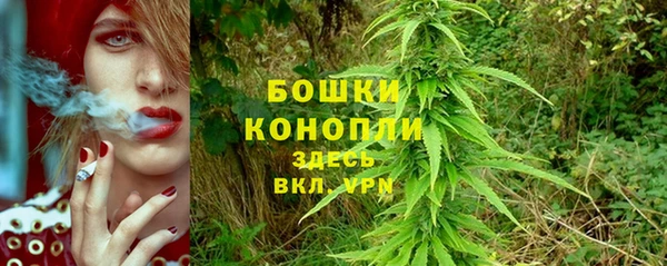 марки lsd Белокуриха